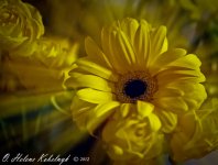 _SSC0487-Edit-Edit.jpg