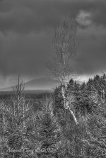 _MCC6344_5_6_7_8_tonemapped.jpg