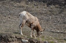 Image 7.jpg