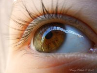 Child'sEyeDay98.jpg