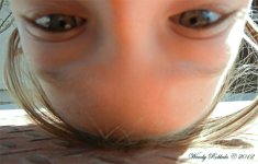 SeeingTheWorldUpsideDownDay99.jpg