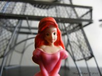 Ariel at the Eiffel Tower Day 100.jpg