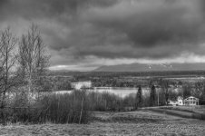 B&W view day 102.jpg