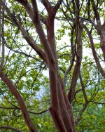 2012-102.jpg