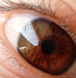 Deep Within the Eye Day 104.jpg