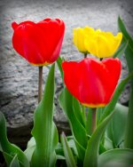 DSC_0002_2078-3.jpg