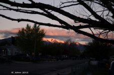 DSC_0001.jpg