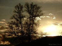 DayEnding Day 112.jpg
