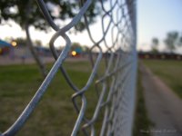 School Yard Fence Day 113.jpg