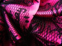 Pink and Black Lace Day 115.jpg