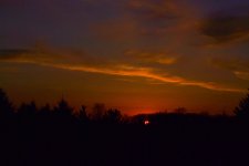 20120423_36.JPG