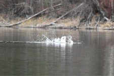 Image 16.jpg