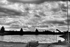 pond black and white resized.jpg