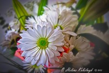 _SSC0083-Edit-Edit.jpg