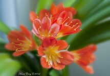 Day 119_MCC6674.jpg