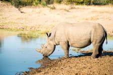 South African Adventure June 2014 (104 of 383).jpg