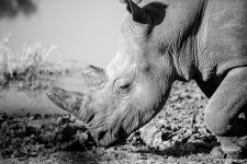 South African Adventure June 2014 (114 of 383).jpg