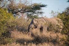 South African Adventure June 2014 (143 of 383).jpg
