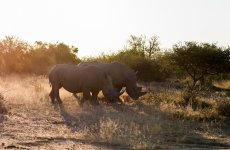 South African Adventure June 2014 (153 of 383).jpg
