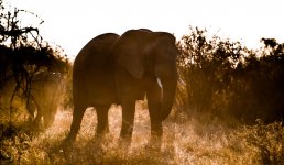 South African Adventure June 2014 (154 of 383).jpg