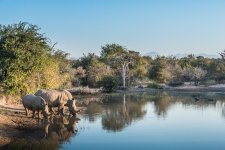 South African Adventure June 2014 (161 of 383).jpg