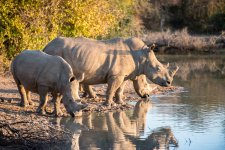South African Adventure June 2014 (162 of 383).jpg