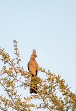 South African Adventure June 2014 (165 of 383).jpg