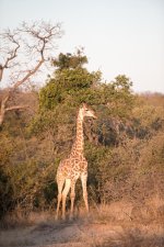 South African Adventure June 2014 (166 of 383).jpg