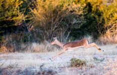 South African Adventure June 2014 (167 of 383).jpg
