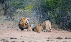 South African Adventure June 2014 (176 of 383).jpg