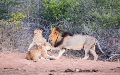 South African Adventure June 2014 (182 of 383).jpg