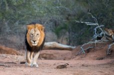 South African Adventure June 2014 (186 of 383).jpg