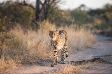 South African Adventure June 2014 (210 of 383).jpg