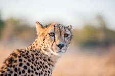 South African Adventure June 2014 (214 of 383).jpg