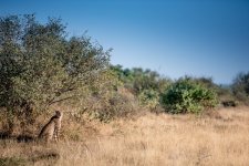 South African Adventure June 2014 (225 of 383).jpg