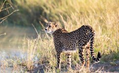 South African Adventure June 2014 (230 of 383).jpg