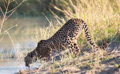 South African Adventure June 2014 (231 of 383).jpg