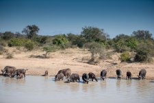 South African Adventure June 2014 (268 of 383).jpg