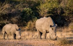 South African Adventure June 2014 (286 of 383).jpg