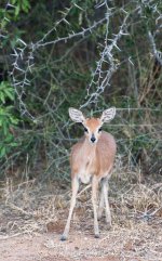 South African Adventure June 2014 (290 of 383).jpg
