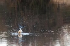 South African Adventure June 2014 (292 of 383).jpg