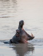 South African Adventure June 2014 (293 of 383).jpg