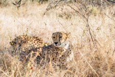 South African Adventure June 2014 (315 of 383).jpg