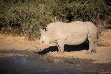 South African Adventure June 2014 (356 of 383).jpg