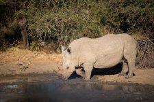 South African Adventure June 2014 (357 of 383).jpg