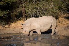 South African Adventure June 2014 (358 of 383).jpg