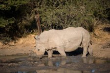 South African Adventure June 2014 (359 of 383).jpg