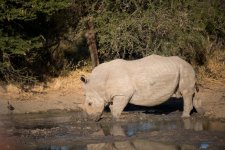South African Adventure June 2014 (360 of 383).jpg