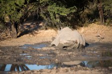 South African Adventure June 2014 (363 of 383).jpg
