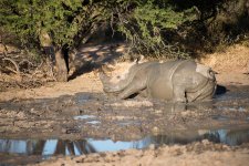 South African Adventure June 2014 (369 of 383).jpg